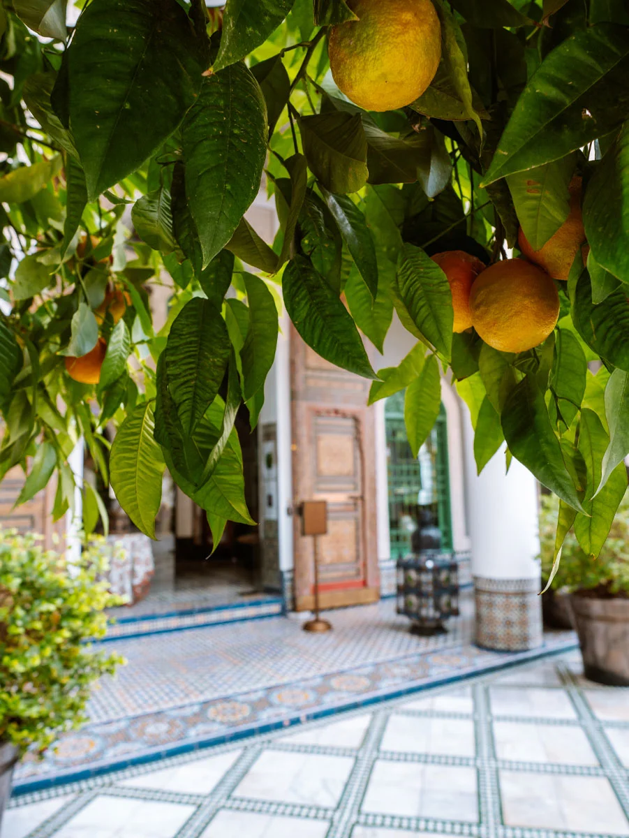 Luxury riad fes palais faraj architecture
